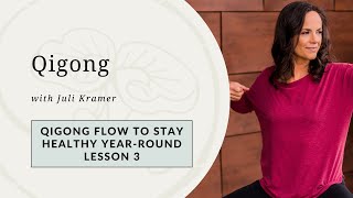 Master YearRound Health with Qigong Lesson 3 [upl. by Kcerb]