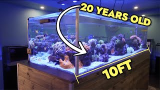 Exploring A STUNNING 20 Year Old 10ft Saltwater Reef Tank in Melbourne Australia [upl. by Neyud]