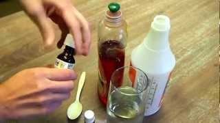 Get Rid of Spiders How to Make Natural Spider Repellent [upl. by Leunamnauj21]