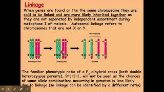 612 Patterns of inheritance b Autosomal linkage [upl. by Harli]