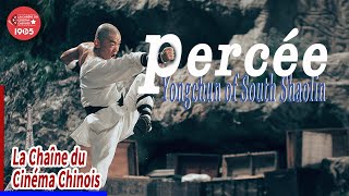 Le Kungfu chinois est invincible【percée】南少林永春拳之突破重围movie kungfu le chinesedrama [upl. by Basilio]