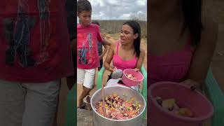 A mistura de frutas😅 parte 05 viralvideo shortvideo video youtubeshorts fyp shorts short [upl. by Aikin730]