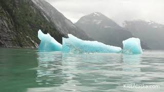 Admiralty Dream Cruise  John Halls Alaska [upl. by Charlotta]