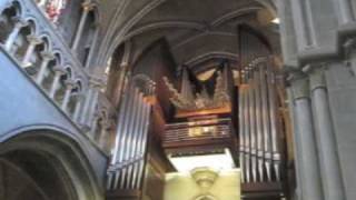 Lausanne Cathedral Organ [upl. by Noseaj]