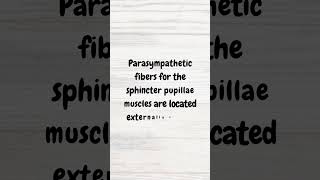 Pupillary changes in a CN3 palsy  MRCP revision  shorts cranialnerves cranialnerve neurology [upl. by Caesaria]