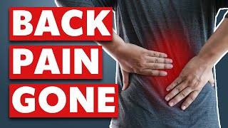 Watch these 93 minutes if you want to overcome your Lower Back Pain compilation [upl. by Linders300]