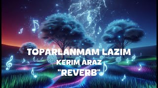 Kerim Araz  Toparlanmam Lazim Reverb Lyrics [upl. by Heger]