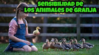 Empatía hacia los animales de granja ¿Un lujo o una necesidad [upl. by Tebor]