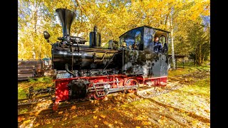 Feldbahntage im SEM Chemnitz [upl. by Hindu]