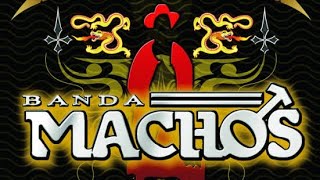 Banda Machos  Aprueba de balas [upl. by Eimoan]