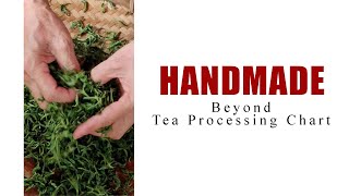 How Green Tea is Made Handmade Chinese Green Tea Processing [upl. by Sinai858]