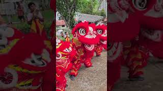 Red Lion Dance [upl. by Eilyab]