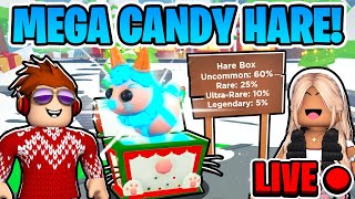 We MAKE The MEGA CANDY HARE in Adopt Me Winter Update [upl. by Sitruk763]