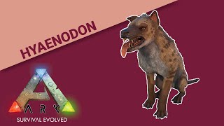 Hyaenodon Tame FAST and EASY for high taming effectiveness [upl. by Nerhtak]