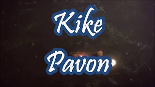 Ganas de Vivir Remix Kike Pavon Feat Alex Zurdo Manny Montes LETRA [upl. by Hairakcaz]