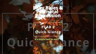 Short In Depth Look At Baby Blues N Postnatal Depression  PLAB 2 General Tips plab2 ukmla [upl. by Gwenore]