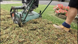 Can you scarify  dethatch a Sir Walter Buffalo  St Augustine lawn [upl. by Raval]