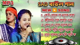 SAD বাউল গান🔥Mp3 Nonstop Baul🔥Radharani Dasi Baul Song🔥দুঃখের বাউল গান [upl. by Angell]