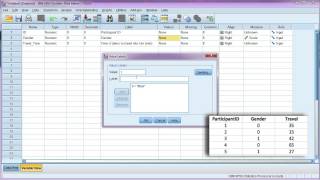 Enter data and define variables in SPSS [upl. by Varin]