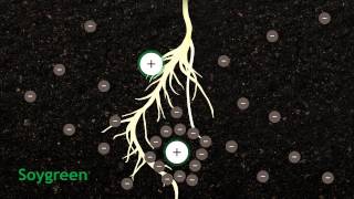 How Chelation Works In Agriculture [upl. by Linoel367]