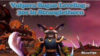 Leveling a Vulpera Rogue  Level 30s in Northern Stranglethorn [upl. by Yhprum464]