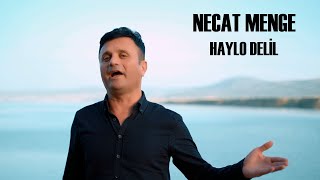 Necat Menge Haylo Delil Dengbeji Kürtçe Uzun Hava [upl. by Anekam]