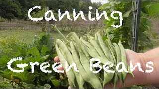 Canning Green Beans [upl. by Holbrooke]