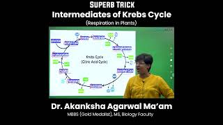 Superb Trick Intermediates of Krebs Cycle  AA Maam  neet2023 neetprep biologytricks  shorts [upl. by Noxas]