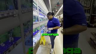 😍 இவ்வளவு Pets ah 😂😂 🔥Atrocities 🔥 அமெரிக்காவில் 💥USA Tamil Vlogs🇺🇸🔥Shorts [upl. by Ilan]