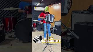 Aldo quotLa Barranquitasquot tocandoacordeon acordeon acordeonistas [upl. by Keemahs]