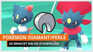 Pokémon Strahlender Diamant amp Leuchtende Perle Scharfklaue finden amp Snibunna bekommen [upl. by Carmena]