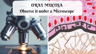 ORAL MUCOSA Observe it under a Microscope [upl. by Chamberlain]