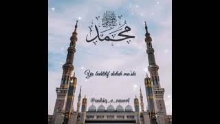 Muhammad Nabina 💖  Islamic Arabic Song Status  aashiqerasoolﷺ MohamedTarek  Jumma Mubarak 🤍 [upl. by Nessa]