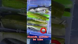 Subscribe if you love fishing 🎣 fishing bassfishing subscribe shorts heatwave comment [upl. by Pren850]