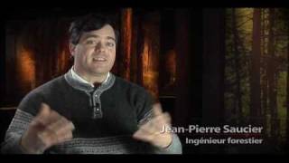 JeanPierre Saucier ingénieur forestier [upl. by Thema127]