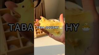 RESULTS I Made a VIRAL TABA SQUISHY 😱😳 How to Make a Taba Squishy Tutorial [upl. by Annahsat666]