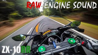 Kawasaki ZX10RR  RAWEngine Sound [upl. by Rehteh691]