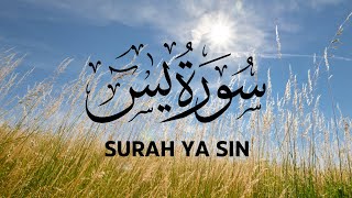 Surah Yaseen read by Saleh al Talib [upl. by Auhs]