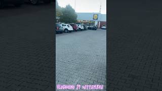 Il LIDL c’ha rovinato la serie Vlog 29 settembre [upl. by Polak]