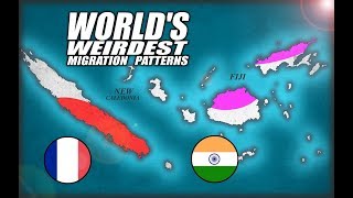 Fiji amp New Caledonia Worlds Weirdest Migration Patterns [upl. by Wildee631]