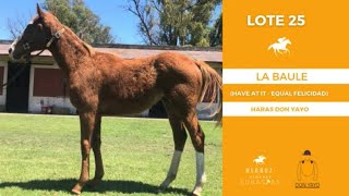 LOTE 25  LA BAULE [upl. by Hally]