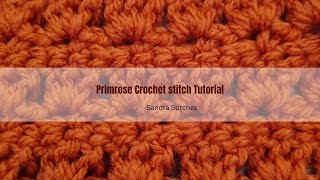 Master the Primrose Stitch in Minutes with This Tutorial [upl. by Jacenta832]