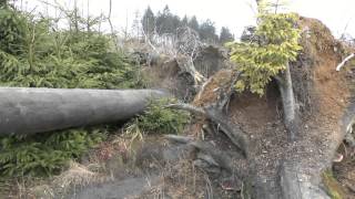 Wandeling Rothaarsteig vanuit Latrop Sauerland [upl. by Eirojam]