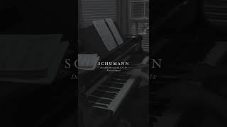 🖤 davidsbündlertänze op6 no14 Piano Cover  schumann  zart and singend [upl. by Jaycee]