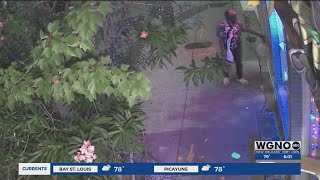 Magazine Street attempted burglaries caught on camera [upl. by Lienhard]