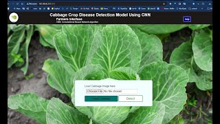 Cabbage Disease Detection Model Inception V3 detect hidden diseases in cabbage [upl. by Torey]