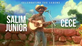 Salim Junior  Cece  Music Visualizer [upl. by Cirala204]