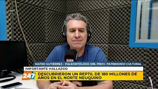 Descubrieron un reptil de 180 millones de años en el norte neuquino  Gutiérrez  Mejor de Tarde [upl. by Port119]