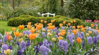 Keukenhof 2014 [upl. by Vyner483]