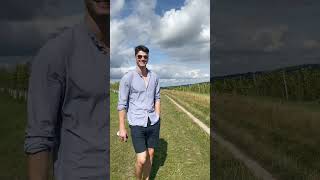 Denbies Vineyard  Experience Videos [upl. by Nisen933]